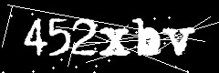 图形验证码